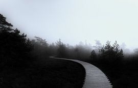 Fog in the moor by Ken Kühlbrandt