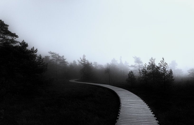 Brouillard dans les marais par Ken Kühlbrandt