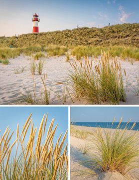 Dreams of the sea: List-East on Sylt by Christian Müringer