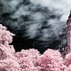 Fairytale infrared Neuschwanstein castle with pink trees and dramatic blue sky. Photo print. by Hidden Light Gallery