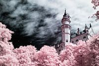 Château de Neuschwanstein, un conte de fées infrarouge, avec des arbres roses et un ciel bleu spectaculaire. Tirage photo.
