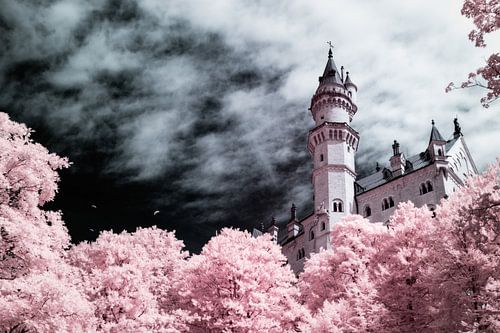 Fairytale infrared Neuschwanstein castle with pink trees and dramatic blue sky. Photo print.