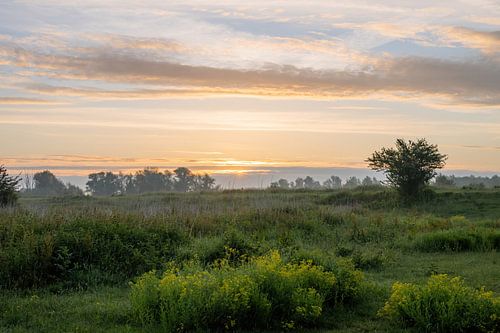 Ooijpolder part 3