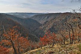 The Bode Valley in autumn by t.ART