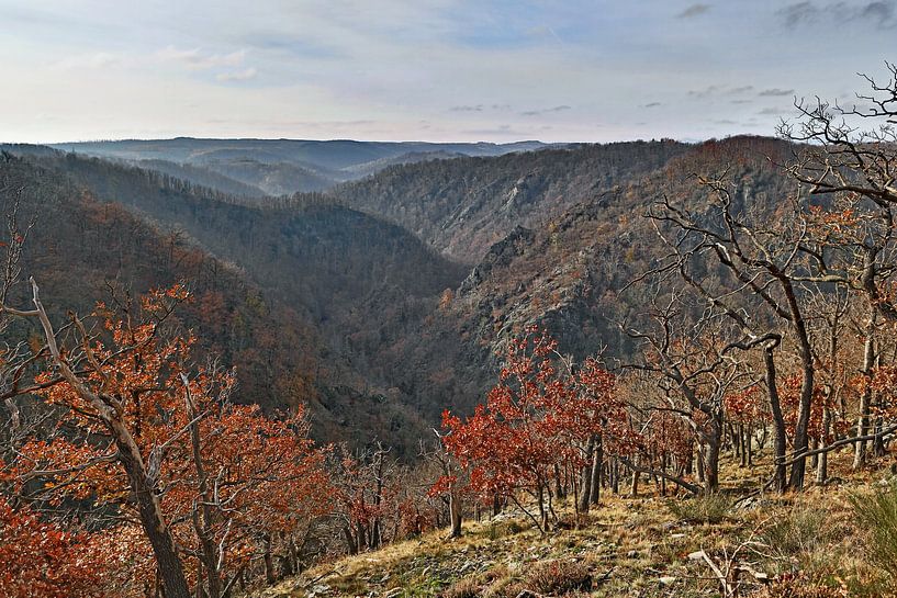 Das Bodetal im Herbst von t.ART