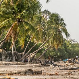 Île de Jinack, Gambie sur Peter Schickert