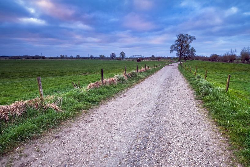 The gravel path to... floodplains Oosterbeek by Sander Poppe
