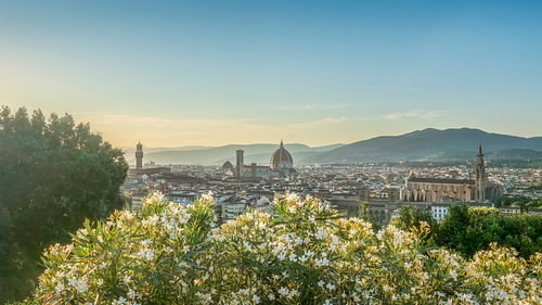 Florence Skyline from Piazzale Michelangelo with Flowers