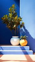 Sunny Steps to Mediterranean Tranquillity