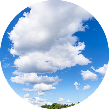 Oostzeekust met wolken en bomen op het eiland Uvö in Zweden