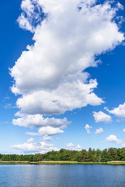 Baltic Sea coast with clouds and trees on the island of Uvö in Sweden by Rico Ködder