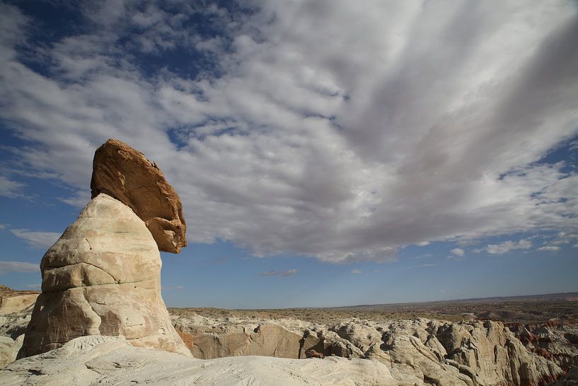 Hoodoo Forest (Rimrocks North) Grand Staircase-Escalante National Monument  im Süden Utahs, USA von Frank Fichtmüller