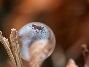 Frozen bubble sur Lex Schulte