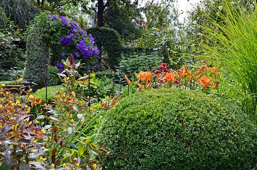 Un jardin luxuriant avec une gamme de plantes vertes et fleuries