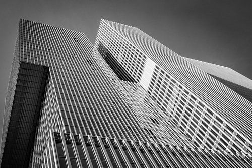 The Rotterdam at Rotterdam