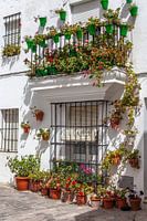 planter