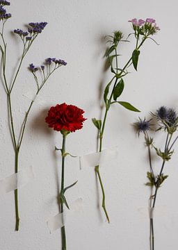 'Too broke for a vase' - Bloemen vastgeplakt op een witte muur van Misty Melodies
