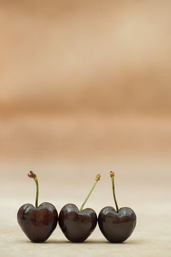 cherries is love... van Hilde Van Hove
