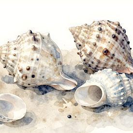 Gefunden am Meer – Muscheln auf Sand von Kristin M