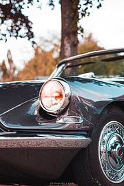 Oldtimer detail Citroën DS 19/21 by Benjamien t'Kindt