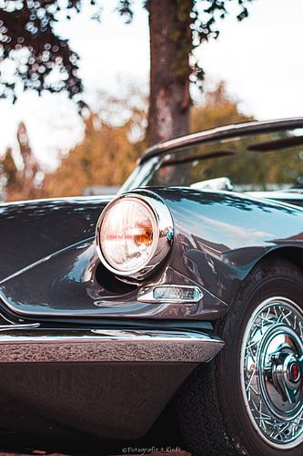 Oldtimer Detail Citroën DS 19/21