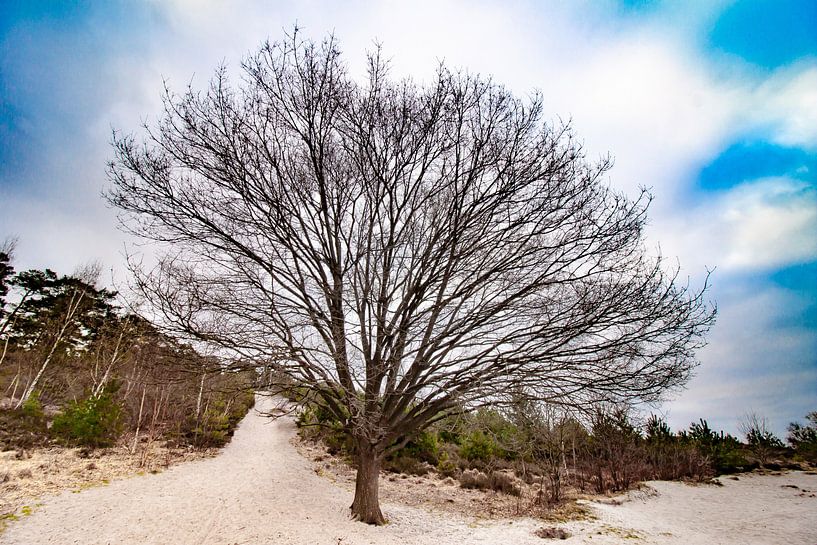 Standing tall by Roger Hagelstein