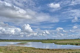 Wester-Spätinge Nature Reserve,North Friesland,Germany by Peter Eckert