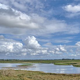 Wester-Spätinge Nature Reserve,North Friesland,Germany by Peter Eckert