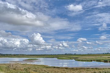 Natuurreservaat Wester-Spätinge,Noord-Friesland,Duitsland van Peter Eckert