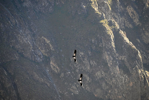 PERU 6