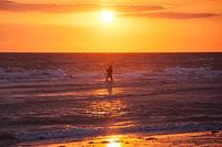 Vissen bij zonsondergang.