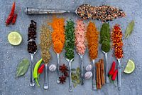herbs and spices on spoons