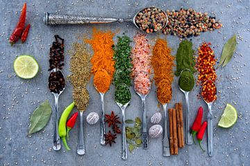 herbs and spices on spoons by Francis Dost