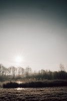 Arbeiten in der Landschaft 9