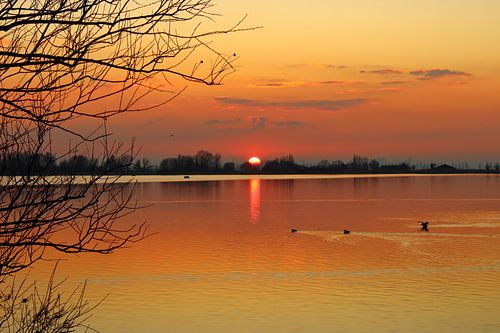 Sonnenuntergang im Winter