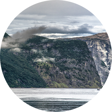 Boottocht door het Aurlandsfjord van Karin Mooren