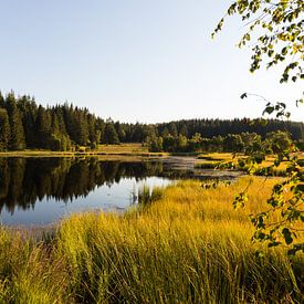 Un lac avec des réflexions sur Gottfried Carls