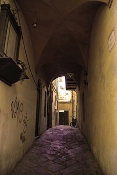 Tuscany Italy Lucca Downtown Old