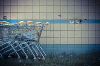 Urban Shopping
