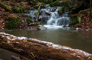Waldfluss bei Tharandt