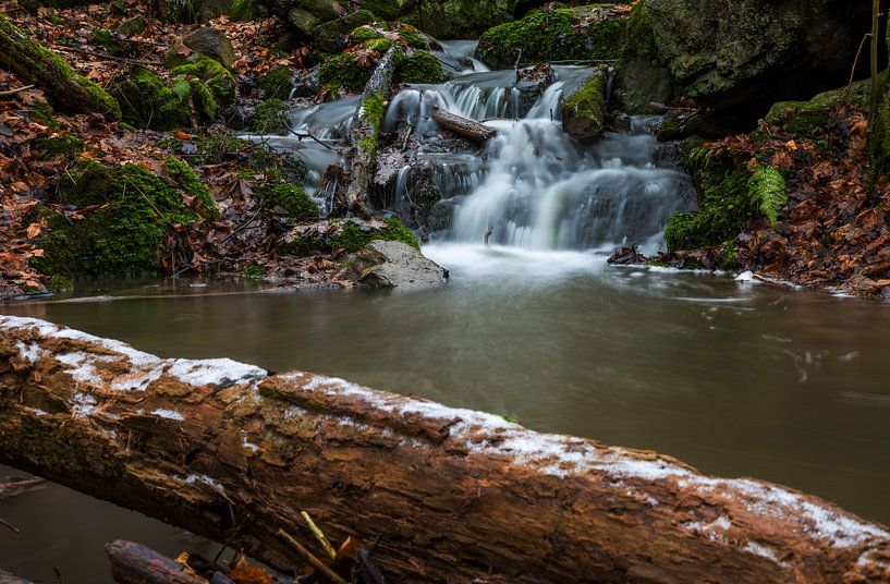 Waldfluss bei Tharandt von Sergej Nickel