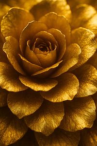 Luxuriöse goldene Blume