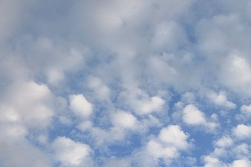 Hemelsblauw schilderij: witte wolken in een strakblauwe lucht