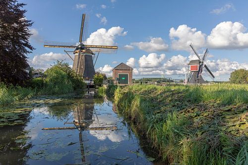 Hollands zomerlandschap met twee molens