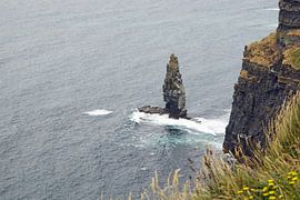 Cliff's of Moher - Irland