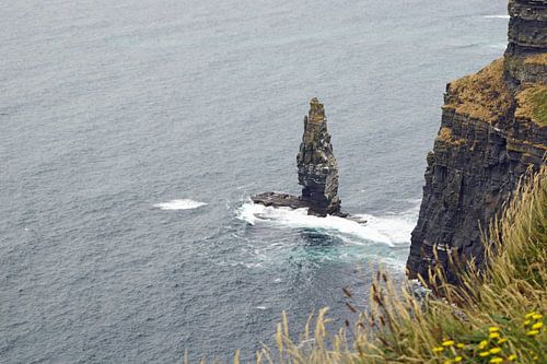 Cliff's of Moher - Ierland