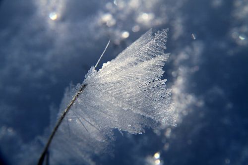 Bevroren sneeuw