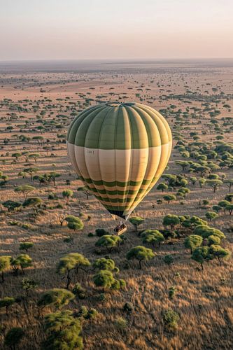Luchtballon over de savanne