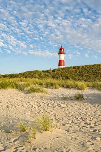 Summer on Sylt