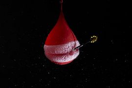 Waterballon by Coosje Wennekes